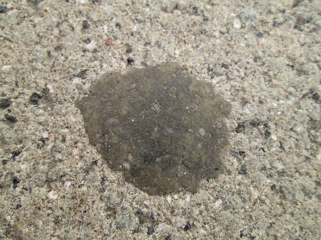 Chewing gum stuck to concrete floor